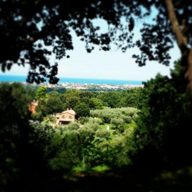 Agriturismo La Barca Nel Bosco Rosciano  Екстериор снимка